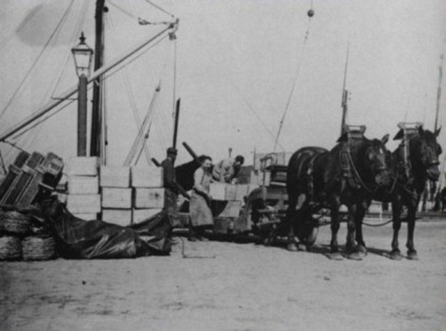 Een beeld van het dagelijks bezigheid in de haven met paard en wagen