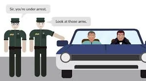 Robinson v. California