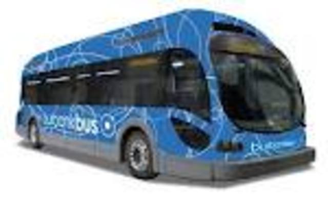 Hydrogen buses