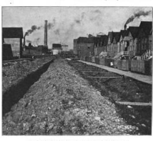 Writers and Social Problems