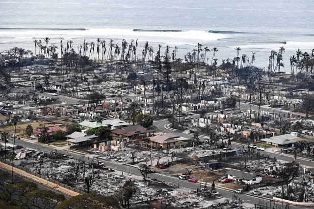 Maui Wildfires