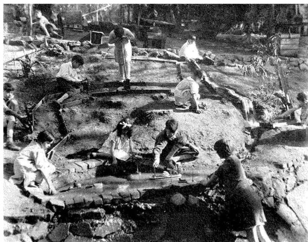 Meredith Smith:De la integración al currículum básico