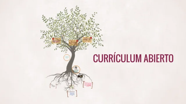 Currículum flexible y abierto
