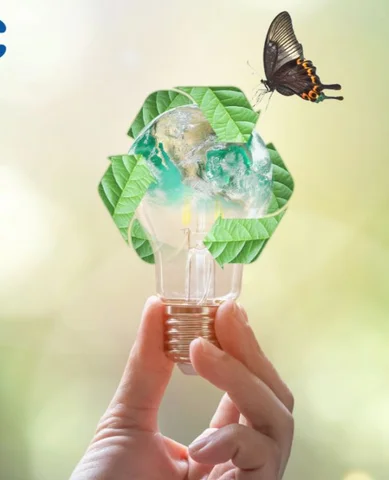 Estado actual de la conciencia ambiental en Costa Rica
