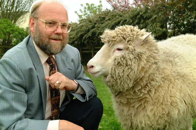 Cloning of Dolly the Sheep