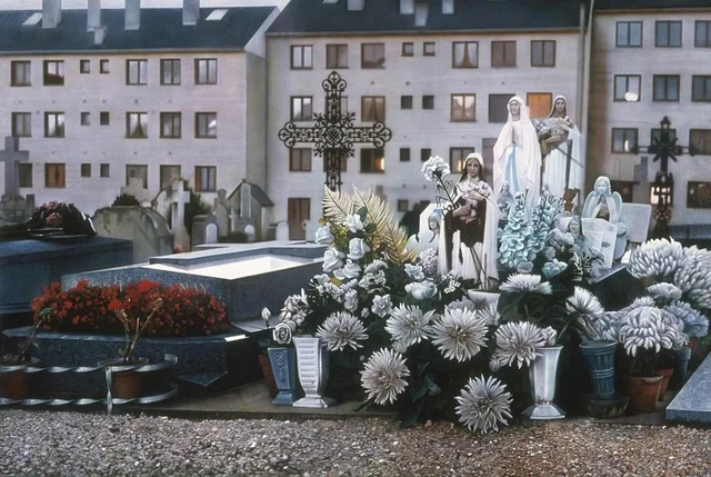 Les verges