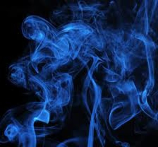 baried in spring felled