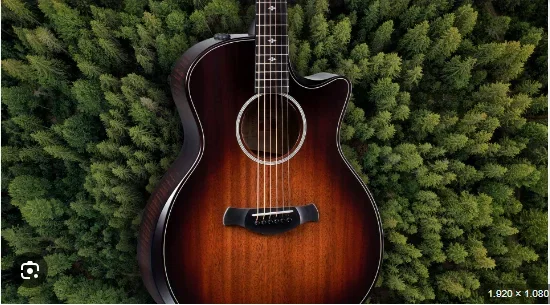 2020 GUITARRAS SOSTENIBLES