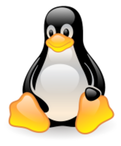 COMO INICIO LINUX