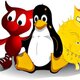 Software libre 1 1