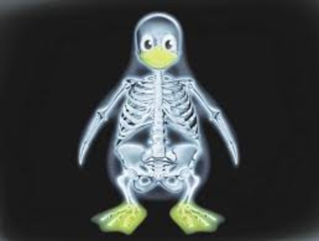 CUANDO LLEGO LINUX A LOS EU.