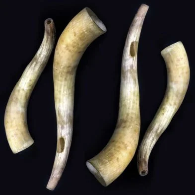 Blowing horns