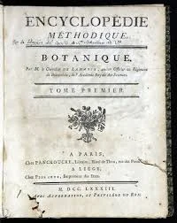 Primera enciclopedia