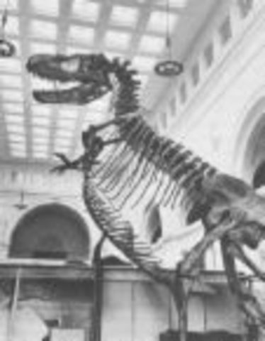 Cretaceous 136-65 MYA