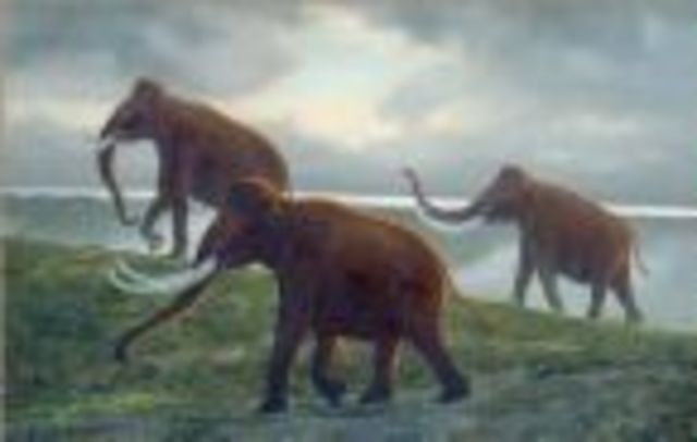 Quaternary 1.8-Present