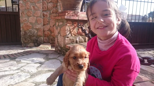 Mi perro Bruno