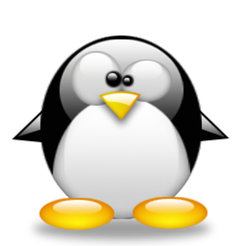 el software no era considerado un producto