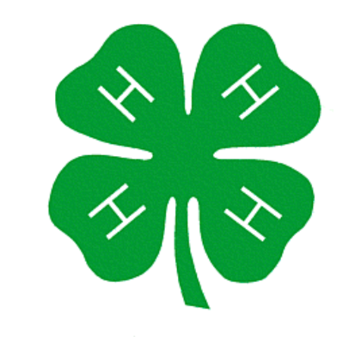 I joined 4-H