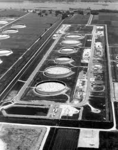 Formation of the Strategic Petroleum Reserve
