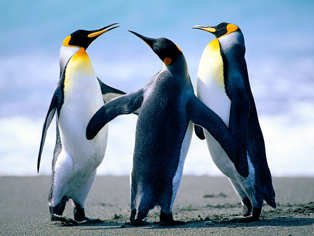 PRINCIPIOS DE LINUX LINUX