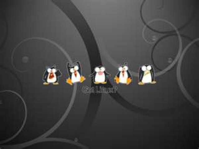 Lanzamiento de la version 1.0 de LINUX  en Helsinky , Finland