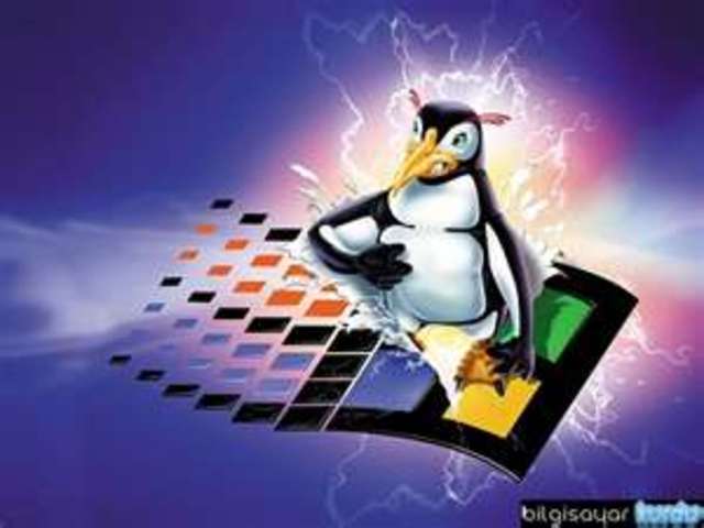 Empieza a crecer la red LINUX con mas de 200 operadores en el mismo sistema