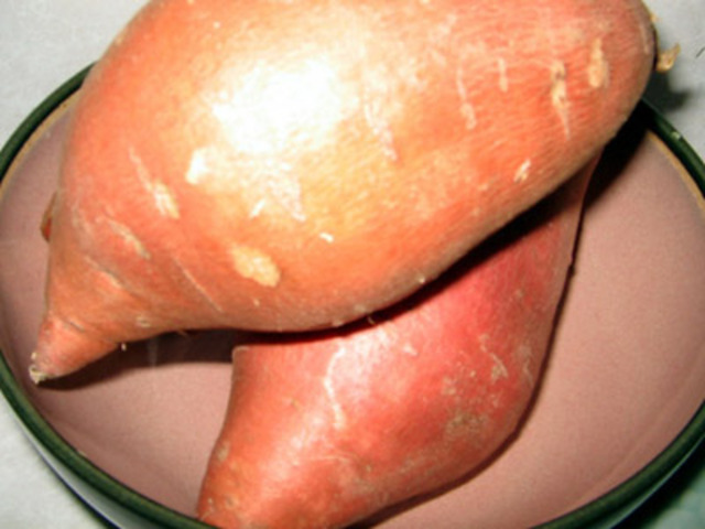 Progesterone from Plants