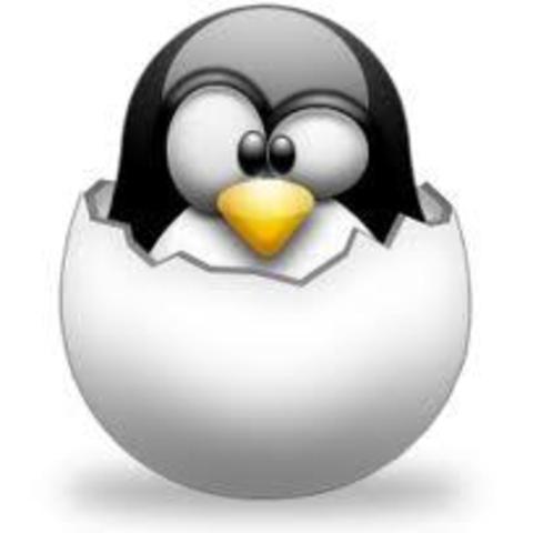 Primer Kernel de Linux