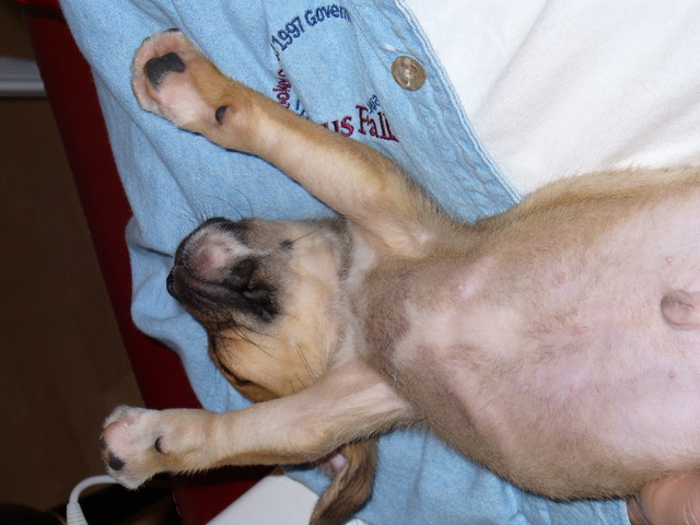 Sleep? I don't think so