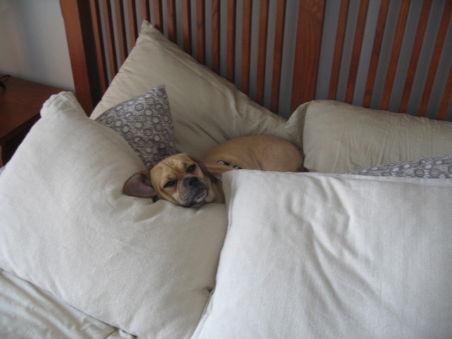 Aging like a fine wine