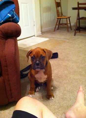 Tank at 3 months of age