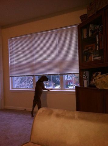 Tank at 4 months of age