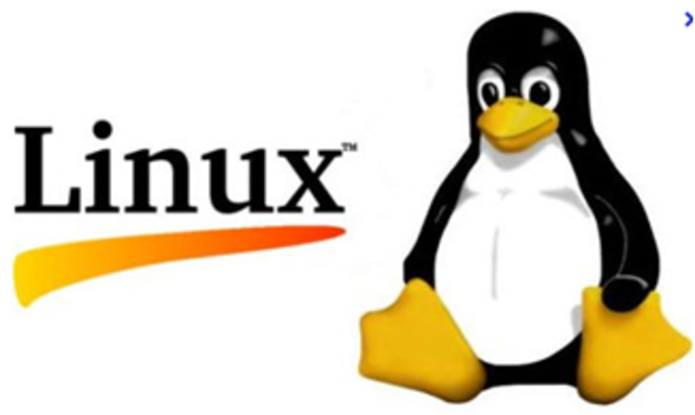 Publicación Primera versión de Linux