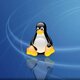 Linux pinguino 800