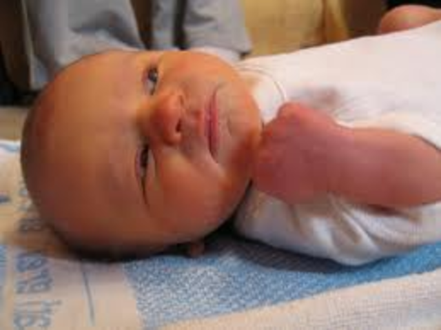 Fetal period 8 weeks- birth