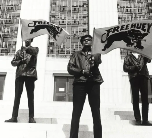 Creation of the Black Panthers