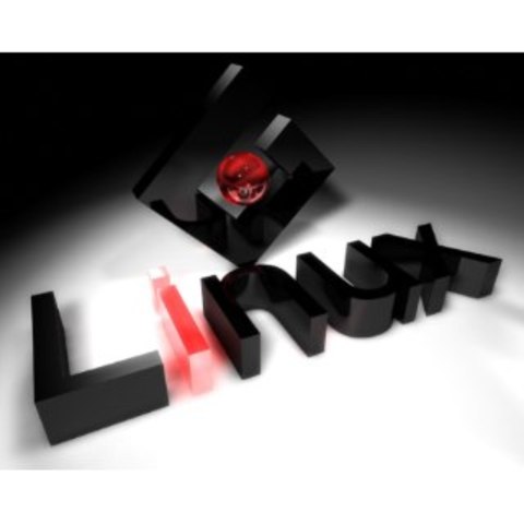 APARECE LA PRIMERA VERSION DE LINUX