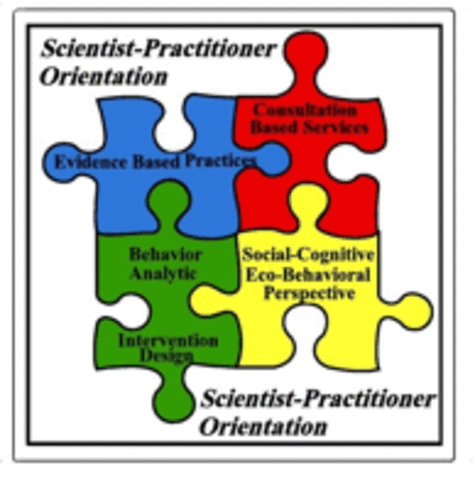 <a href="http://en.wikipedia.org/wiki/Scientist%E2%80%93practitioner_model" rel="ugc nofollow">Scientist-Practitioner Model</a>