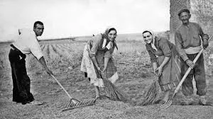 Decreto del laboreo forzoso, para evitar el abandono intencionado de tierras