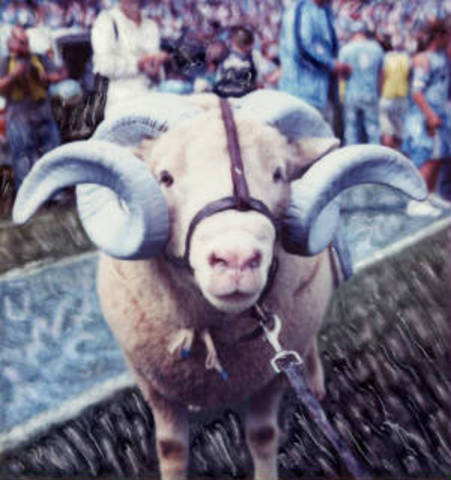 Duke wins; Ramses dies the next day