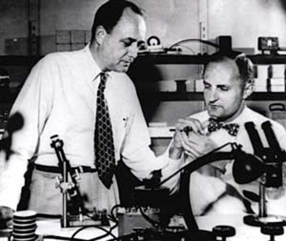 Junction Transistor Developed