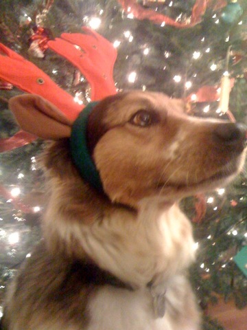 Gabby has been celebrating Christmas.