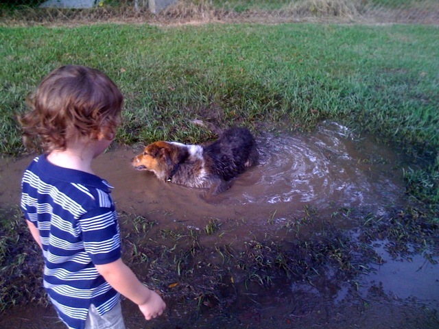 Gabby has been a pig in the mud ever since!