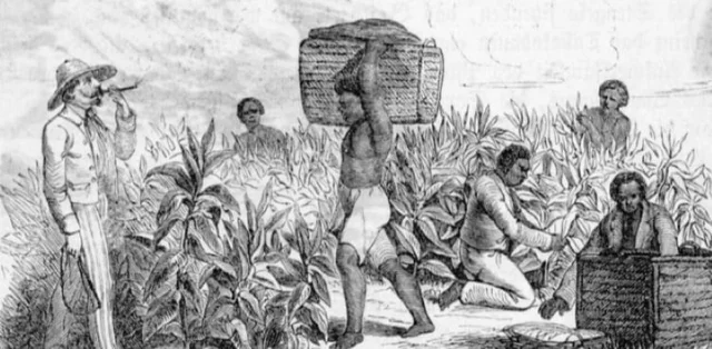 Africanos en españa