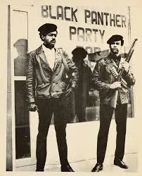 Creation of the Black Panthers