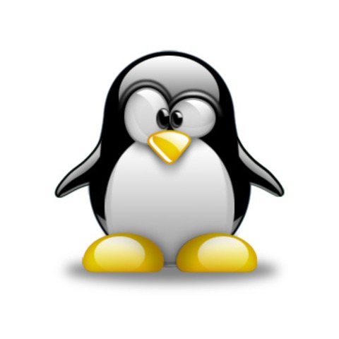 LINUX ES ACOJIDO POR UNIVERSIDADES