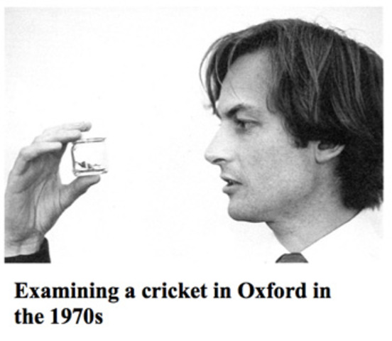 <> Richard Dawkins