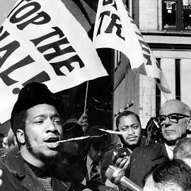Creation of the Black Panthers