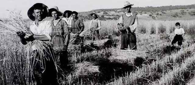 Reforma agraria