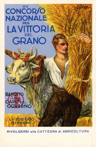 Battle for Grain